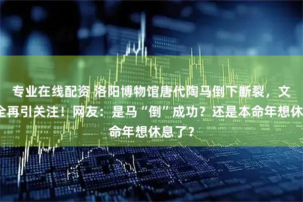 专业在线配资 洛阳博物馆唐代陶马倒下断裂，文物安全再引关注！网友：是马“倒”成功？还是本命年想休息了？